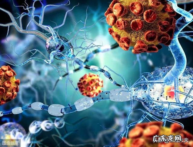 尿检查出潜血有3个加号是怎么回事?