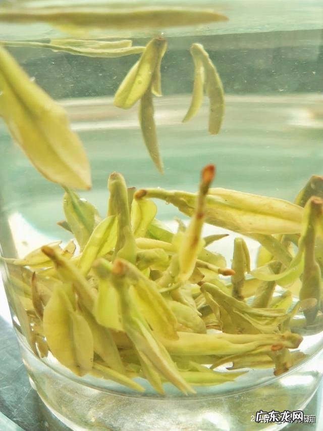 茶叶从药理作用方面分为哪几类?各自有哪些代表?