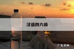 汉语四六级，汉语四六级考试视频