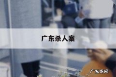 广东杀人案，广东发生一起凶杀案