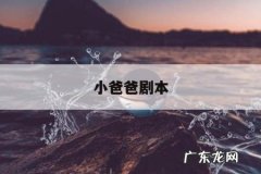 小爸爸剧本，小爸爸剧本谁写的