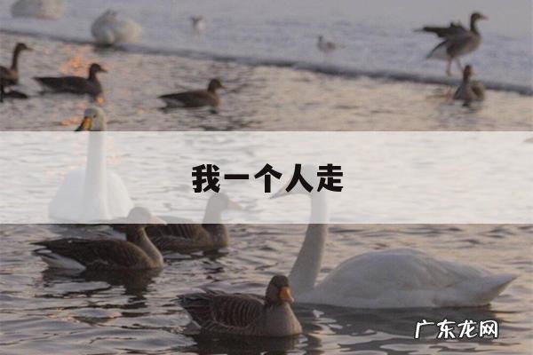 我一个人走,我一个人走了好久好久是什么歌