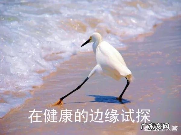 有哪些一套简单易行的办公室健身操?