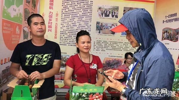 为什么做自媒体的农民巧妇九妹文化不高,其收入却相当高?