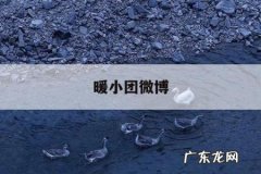 暖小团微博，一条小团团闺蜜的微博