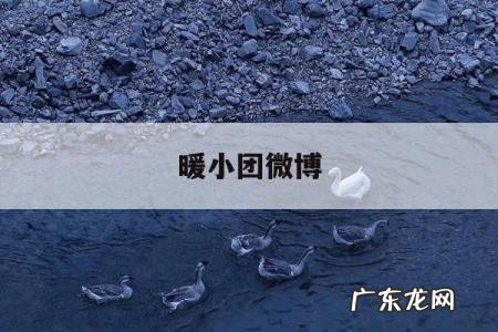 暖小团微博,一条小团团闺蜜的微博