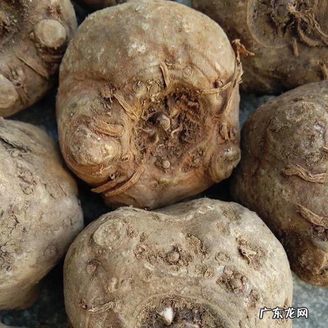 一斤鲜魔芋可以做多少斤魔芋豆腐?