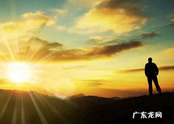 经常听到一句话：好白菜都被猪拱了，到底是什么意思？