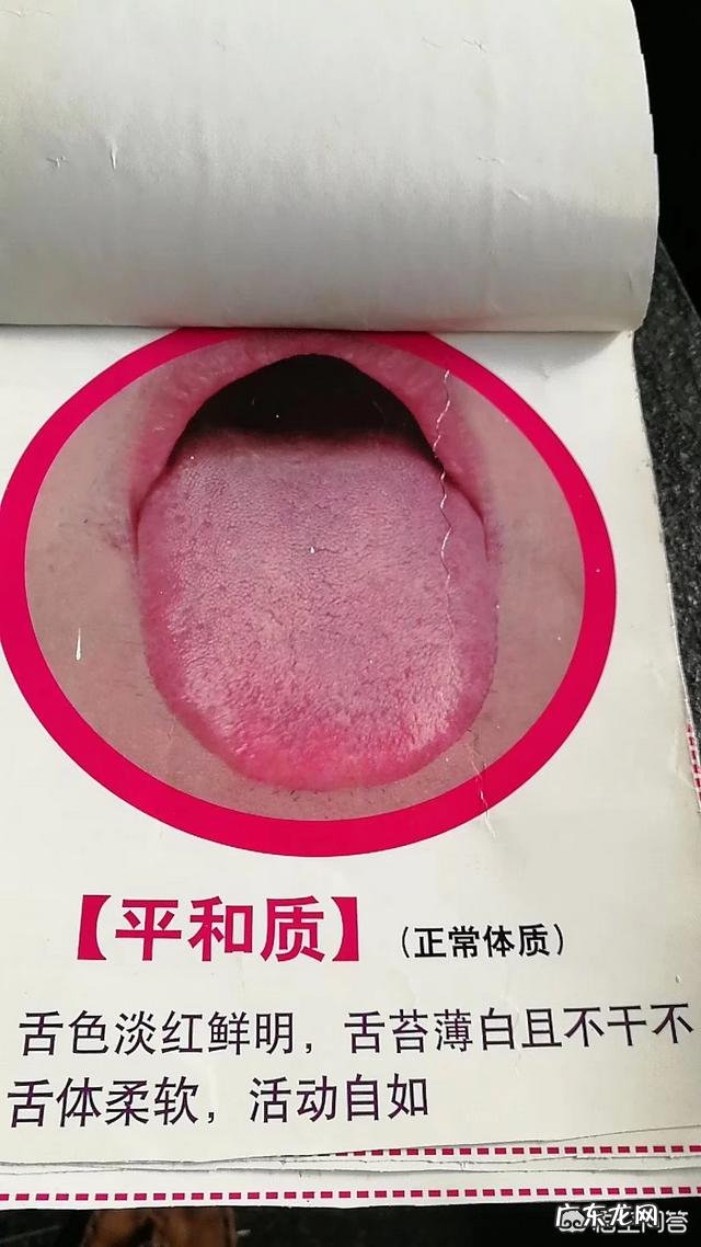 食疗减肥真的有效吗?有哪些搭配能吃饱吃好又不长肉?