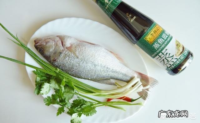 促进胰岛素分泌的方式有哪些?