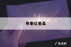 寻秦记善柔，寻秦记善柔原著