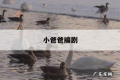 小爸爸编剧，小爸爸电视剧导演是谁