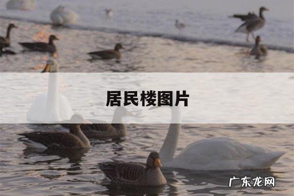 居民楼图片,居民楼图片卡通