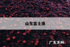 山东富士康，山东富士康招聘信息