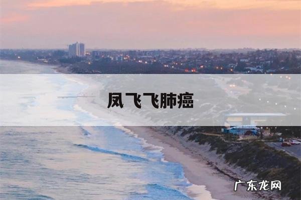 凤飞飞肺癌,凤飞飞得什么病