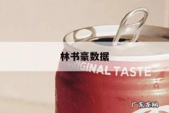 林书豪数据，nba林书豪数据