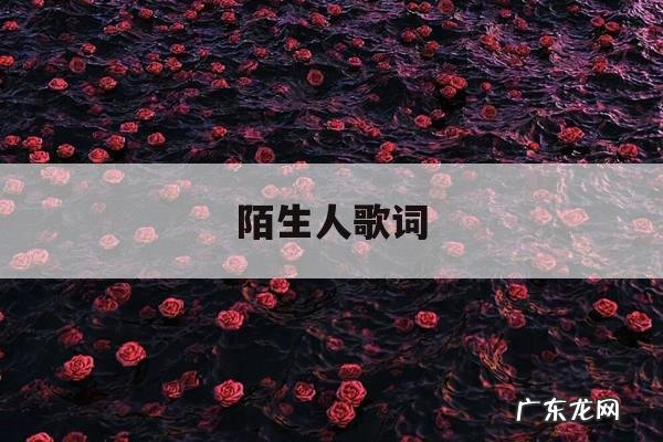 陌生人歌词,你好陌生人歌词