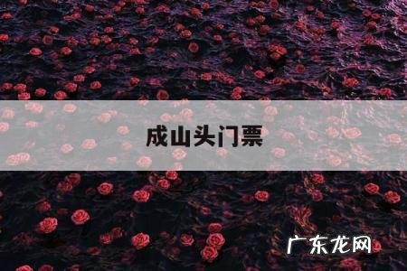 成山头门票,成山头门票学生优惠政策