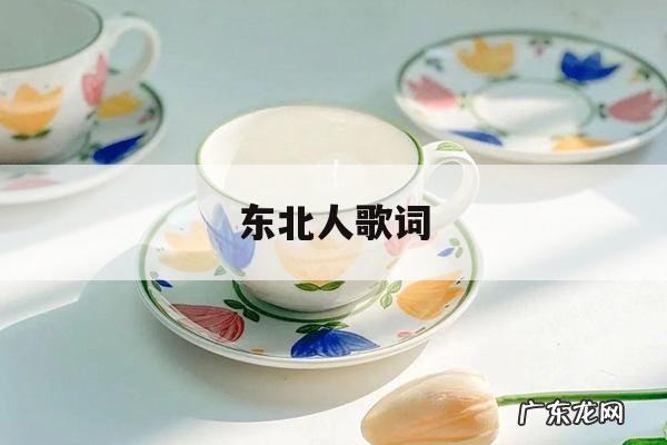 东北人歌词,二人转东北人歌词