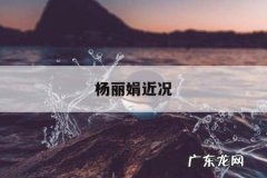 杨丽娟近况，杨丽娟个人信息