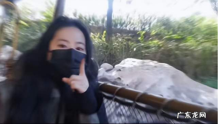 刘亦菲戴超5000元黑色口罩 刘亦菲儿童节逛游乐园素颜披长直发