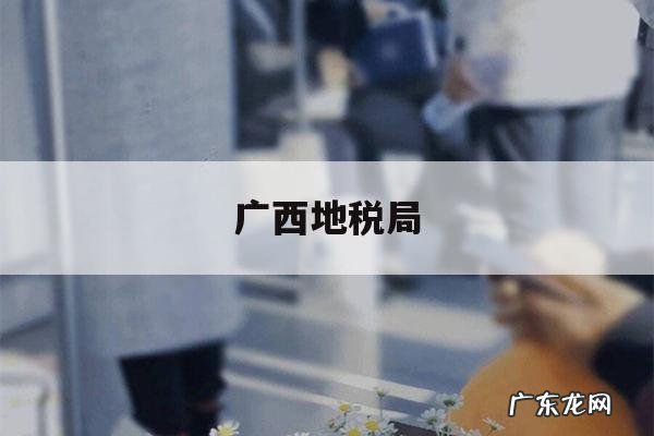 广西地税局,广西地税局长灭门惨案庭审现场