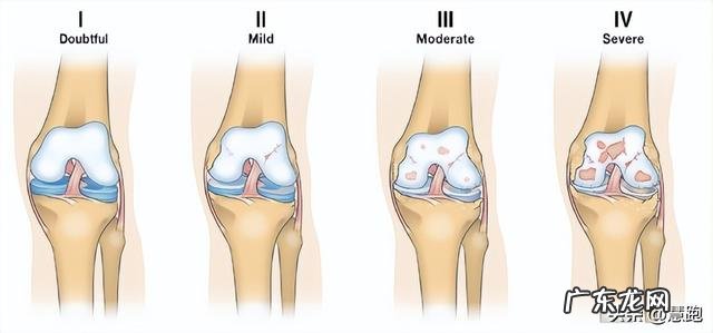 你为什么要坚持跑步 是什么让你坚持跑步