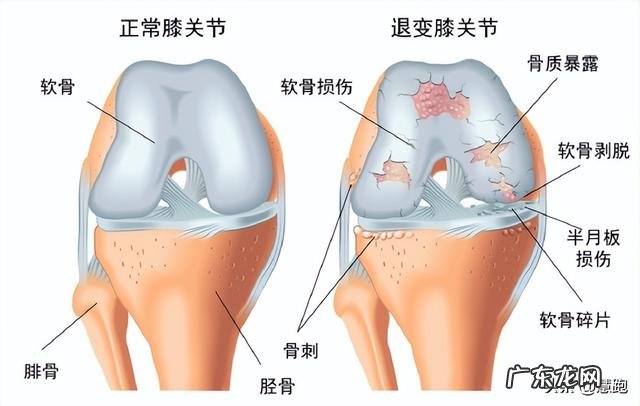 你为什么要坚持跑步 是什么让你坚持跑步