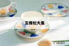 五棵松大集「五棵松大集还有吗」