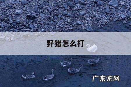 野猪怎么打「奥德赛野猪怎么打」