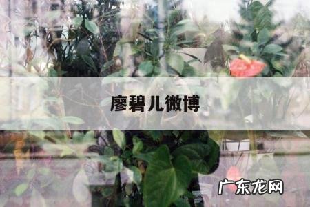 廖碧儿微博「廖碧儿近况」