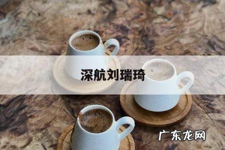 深航刘瑞琦「深航刘瑞琦 小说」