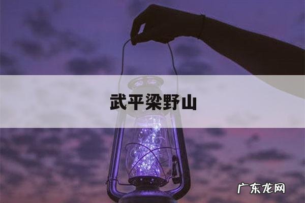 武平梁野山「武平梁野山图片」