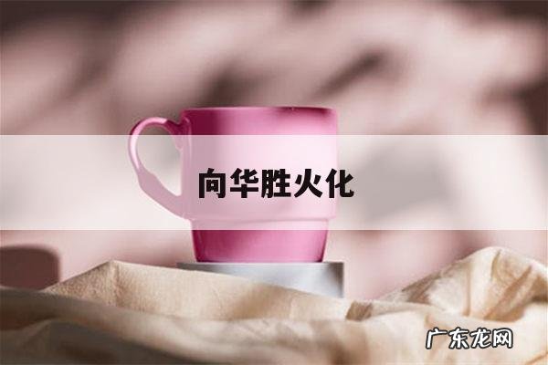 向华胜火化「向华胜骨灰」