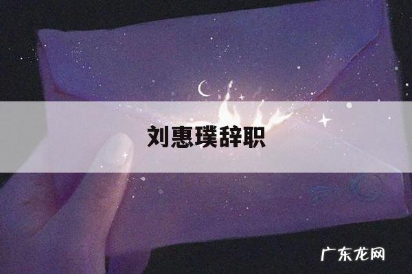 刘惠璞辞职「刘惠璞现在在干什么」