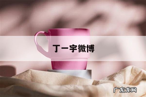 丁一宇微博「丁一宇的ins」