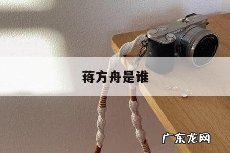 蒋方舟是谁「蒋方舟是干嘛的」