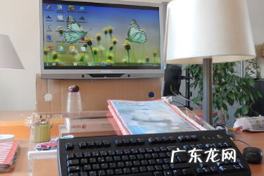 达人版 抖音小店鉴定验真规则