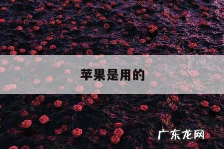 苹果是用的「苹果是用的替身吗」