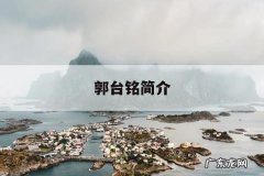 郭台铭简介「郭铭台是谁」