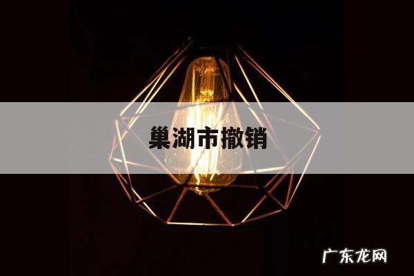 巢湖市撤销「巢湖市是哪一年撤销的」