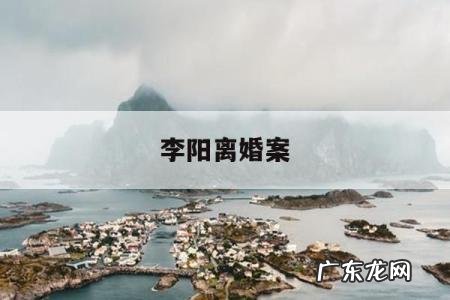 李阳离婚案「李阳离婚案代理词」