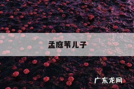 孟庭苇儿子「孟庭苇几个小孩」