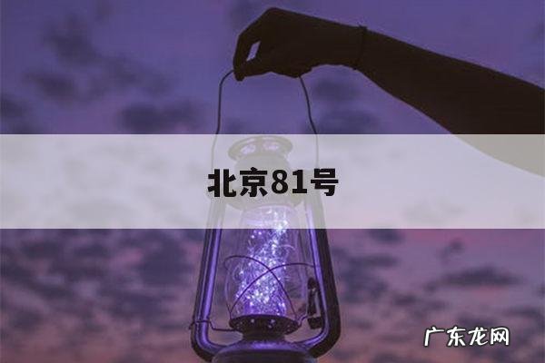 北京81号「北京81号凶宅在哪里」