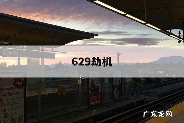 629劫机「629劫机歹徒打死」