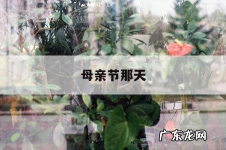 母亲节那天-母亲节那天是什么星座
