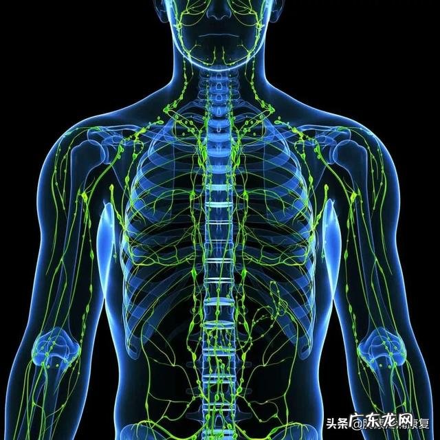 每天怎么跳绳能达到快速减脂 怎么样跳绳才是减脂的最好方法