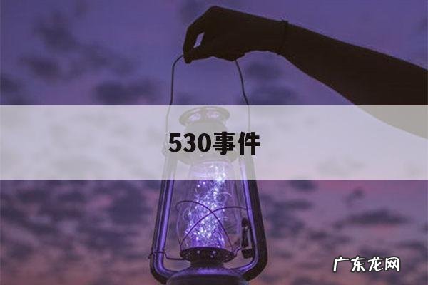 530事件「光伏530事件」