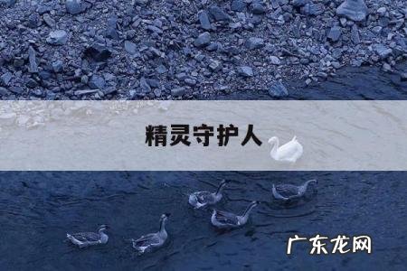 精灵守护人-精灵守护人 动漫