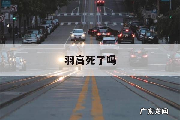 羽高死了吗-羽高被谁杀了